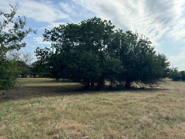 RS County Road 1691, Lone Oak, TX 75453