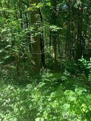 24829 SE Mirrormont Boulevard, Issaquah, WA 98027
