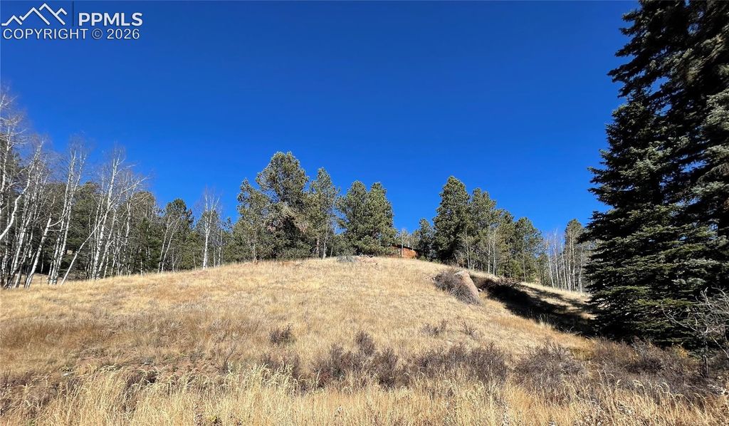 3090 N Mountain Estates Road, Florissant, CO 80816 — exterior