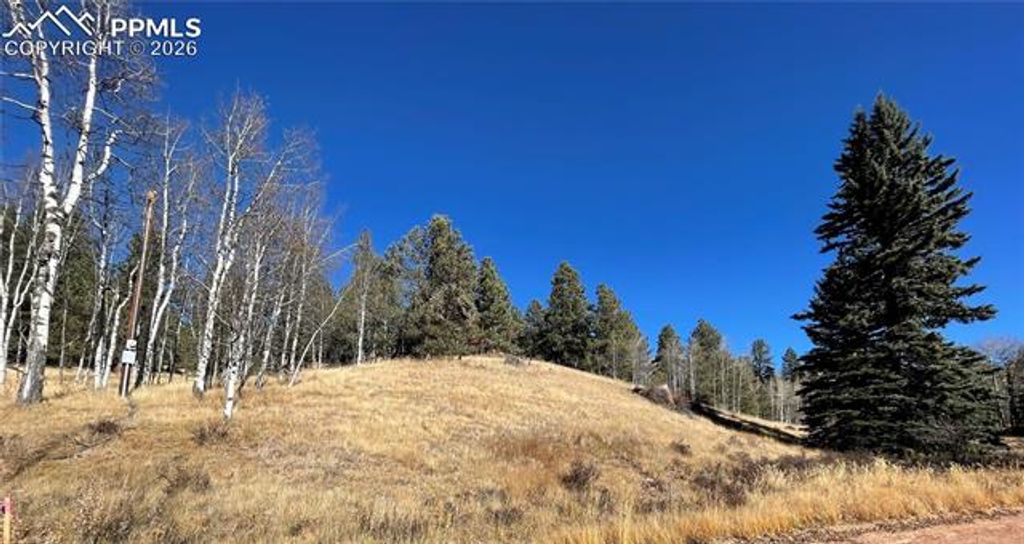 3090 N Mountain Estates Road, Florissant, CO 80816 — photo 2