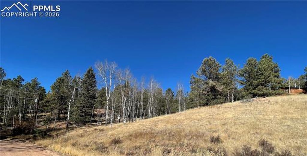3090 N Mountain Estates Road, Florissant, CO 80816 — photo 3