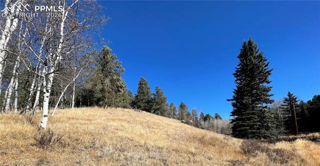 3090 N Mountain Estates Road, Florissant, CO 80816 — photo 4