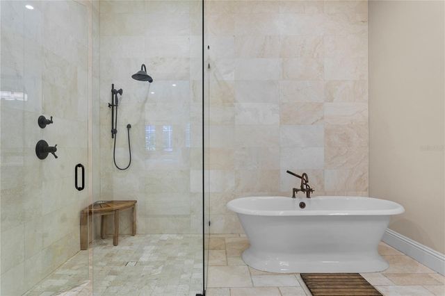 17027 CANDELEDA DE AVILA, Tampa, FL 33613