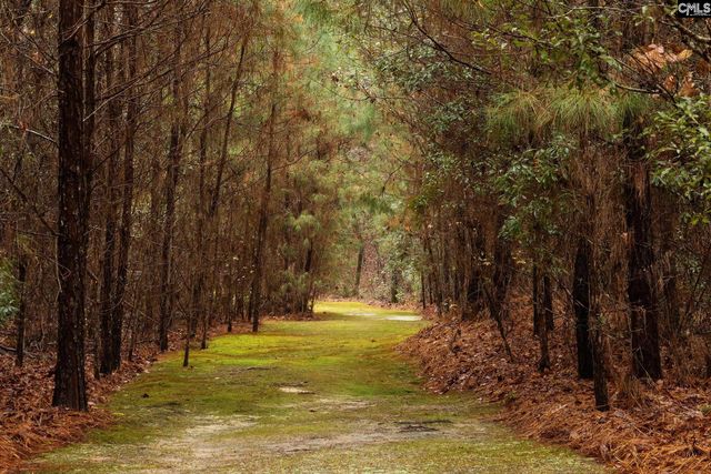 6447 Neeses Highway, Neeses, SC 29107