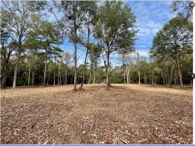 10690 Waukegan Road, Conroe, TX 77306