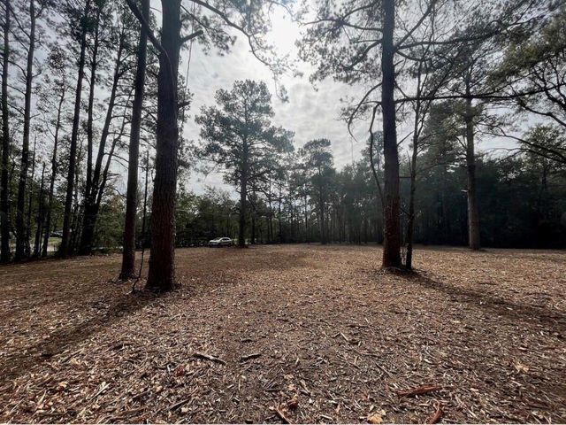 10690 Waukegan Road, Conroe, TX 77306