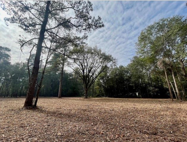 10690 Waukegan Road, Conroe, TX 77306