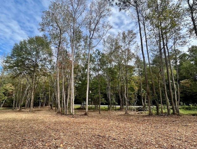 10690 Waukegan Road, Conroe, TX 77306