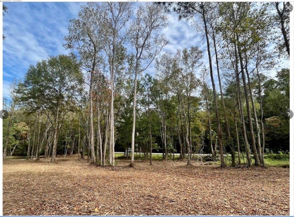 10690 Waukegan Road, Conroe, TX 77306