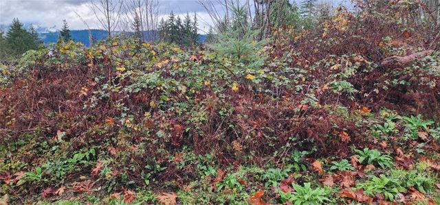 0 E Twanoh Heights Road, Belfair, WA 98528