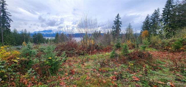 0 E Twanoh Heights Road, Belfair, WA 98528