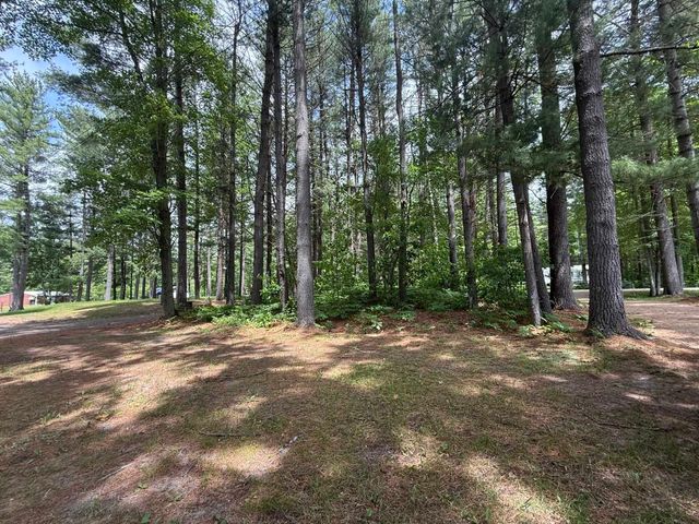 3969 N West Branch Drive, Gladwin, MI 48624