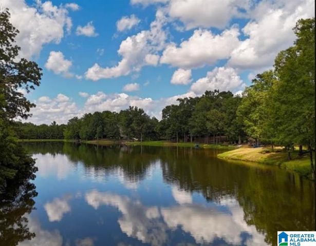 8589 SHADY TRAIL, Helena, AL 35022