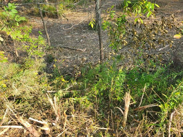 14115 Edgerton Avenue, Cedar Springs, MI 49319