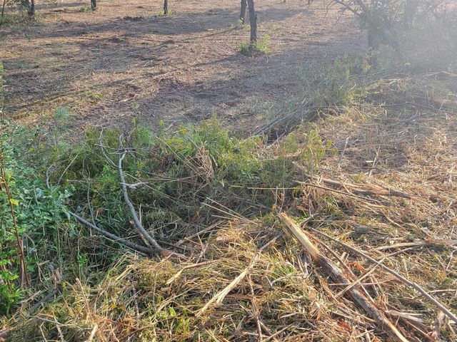 14115 Edgerton Avenue, Cedar Springs, MI 49319