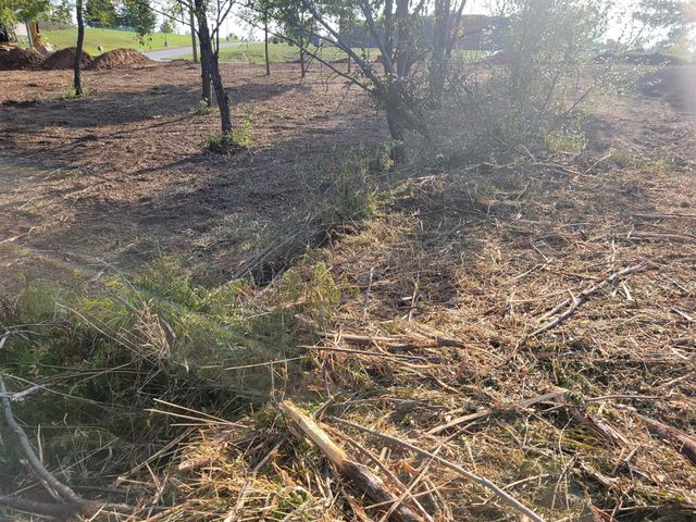 14115 Edgerton Avenue, Cedar Springs, MI 49319