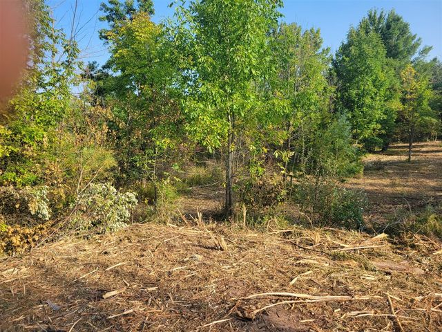 14115 Edgerton Avenue, Cedar Springs, MI 49319