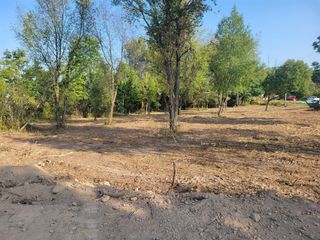 14115 Edgerton Avenue, Cedar Springs, MI 49319