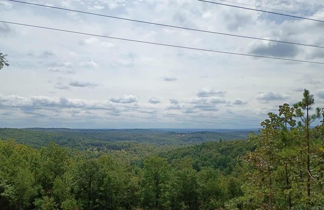 2556 Oakland Road, Clinton, AR 72031