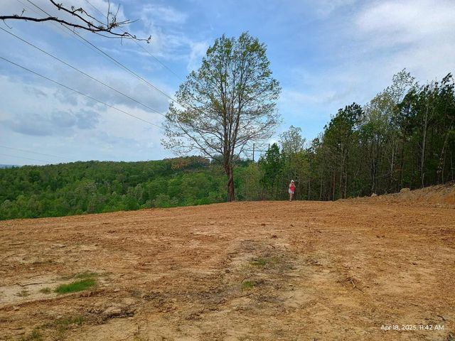 2556 Oakland Road, Clinton, AR 72031