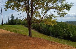 2556 Oakland Road, Clinton, AR 72031