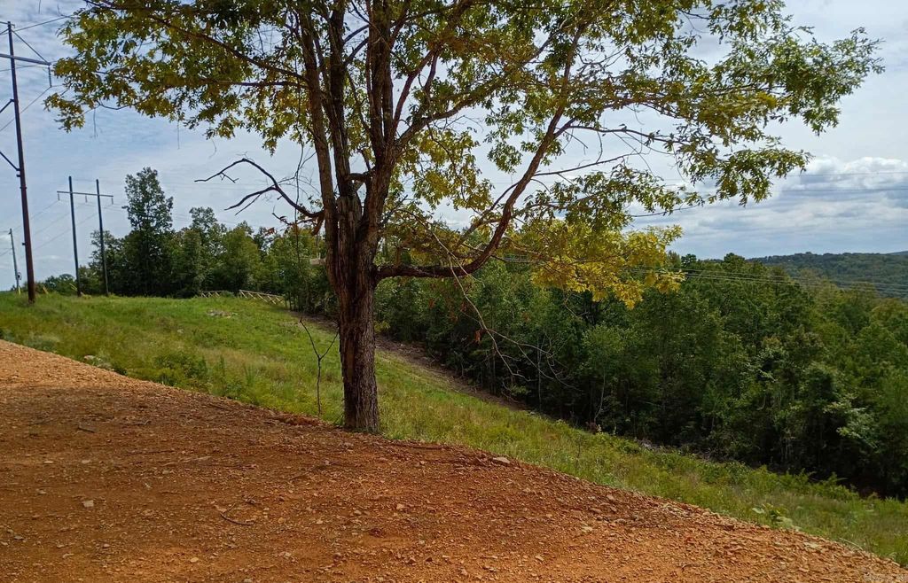 2556 Oakland Road, Clinton, AR 72031
