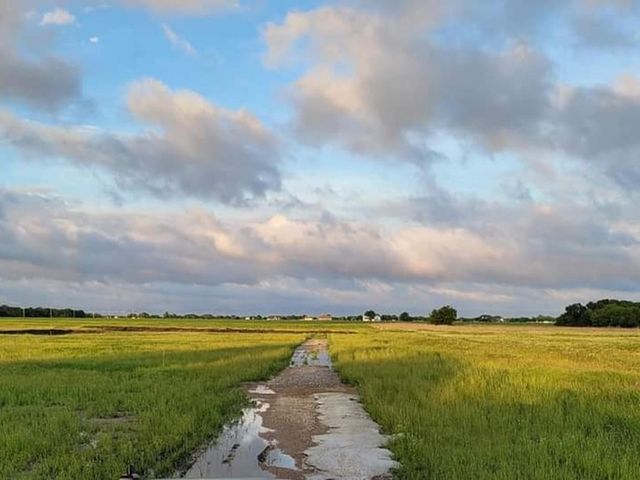 2270 Orr Road, Lucas, TX 75002