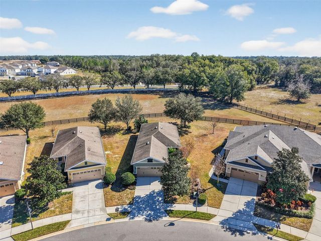 21944 BELGIAN COURT, Mount Dora, FL 32757