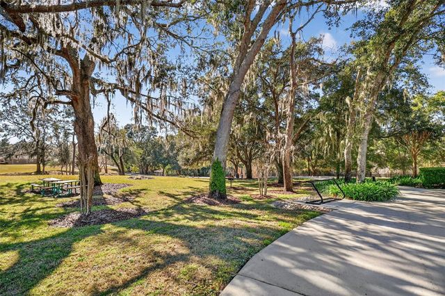 21944 BELGIAN COURT, Mount Dora, FL 32757