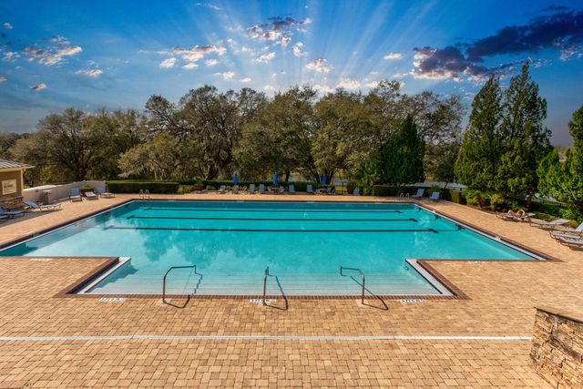 21944 BELGIAN COURT, Mount Dora, FL 32757