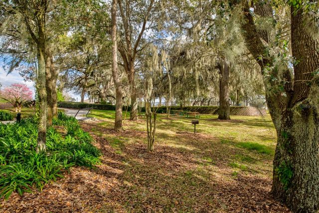 21944 BELGIAN COURT, Mount Dora, FL 32757