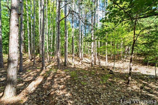 6572 Haines Lane, West Olive, MI 49460