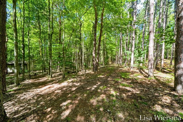 6572 Haines Lane, West Olive, MI 49460