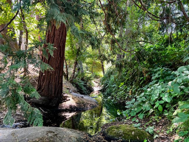 2018 Whistler Way, Somerset, CA 95684