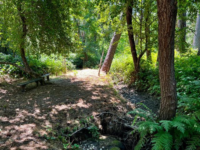 2018 Whistler Way, Somerset, CA 95684