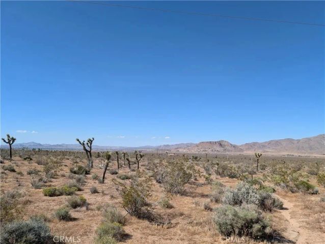 0 apple, Apple Valley, CA 92307