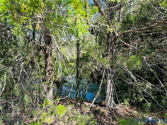 00 Old Wagner Rd Rd, Disputanta, VA 23805