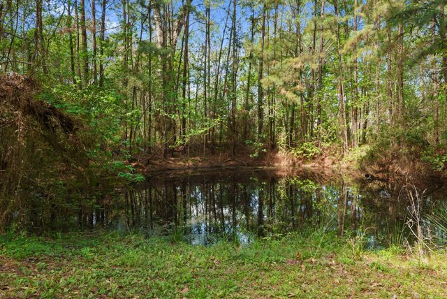 15524 Jim Branch Road, Old River-winfree, TX 77535