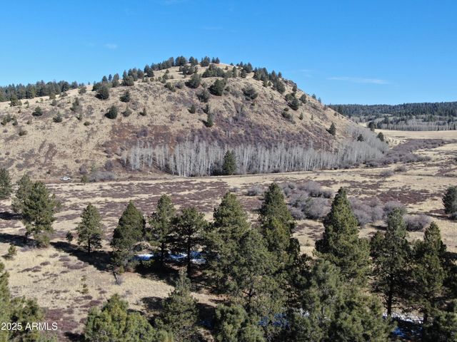 003 Hart Prairie Rd -- -, Flagstaff, AZ 86001