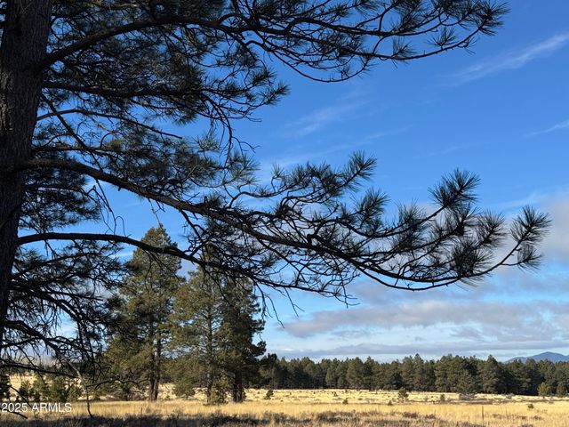 003 Hart Prairie Rd -- -, Flagstaff, AZ 86001