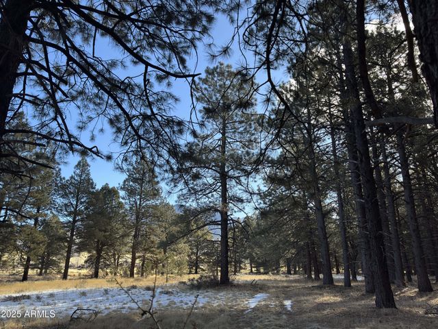 003 Hart Prairie Rd -- -, Flagstaff, AZ 86001