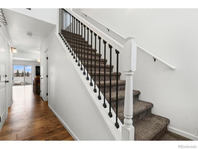 3147 Alybar Drive 7A, Wellington, CO 80549