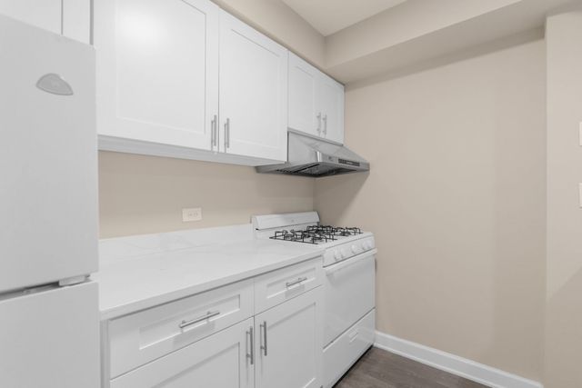 1004 N Mill Street 5-302, Naperville, IL 60563