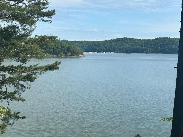 61 Cumberland Cove, Nancy, KY 42544