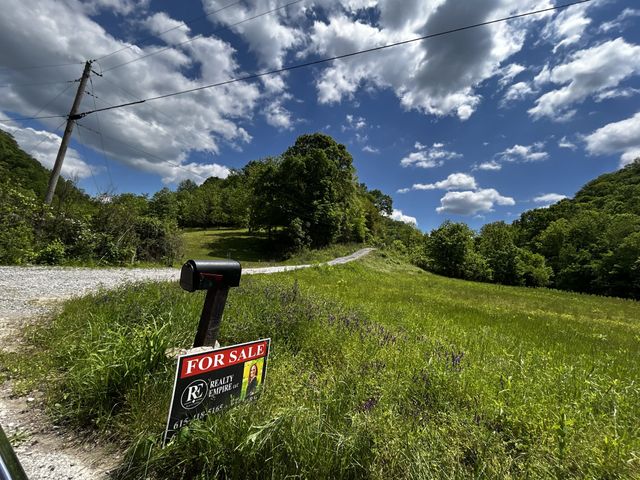 140 Carver Hollow Rd, Pleasant Shade, TN 37145