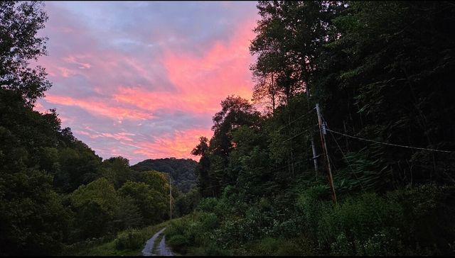 140 Carver Hollow Rd, Pleasant Shade, TN 37145