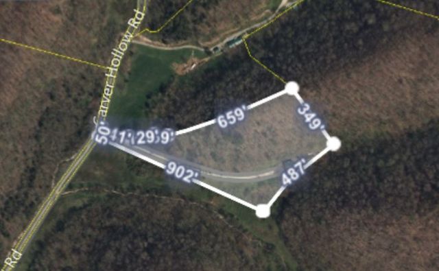 140 Carver Hollow Rd, Pleasant Shade, TN 37145