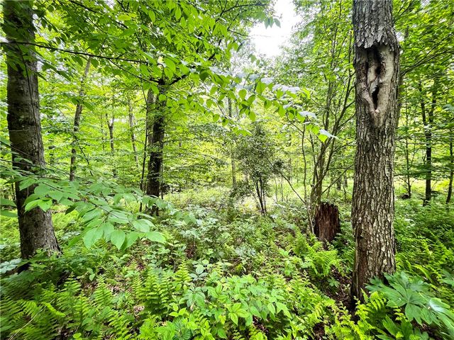38 South South Vanderkarr Road South na, Tioga, NY 13734
