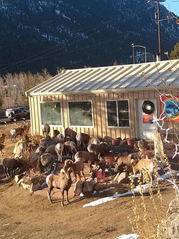 1615 County Road 308 A, Dumont, CO 80436