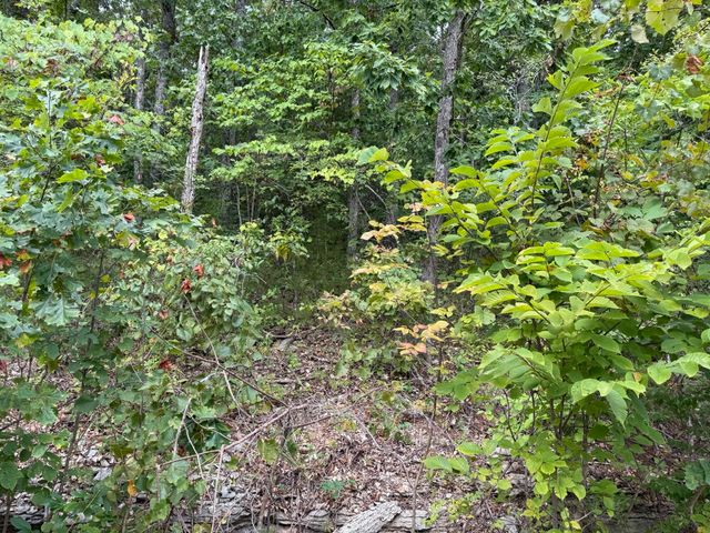 Tbd Skylee Drive, Hollister, MO 65672
